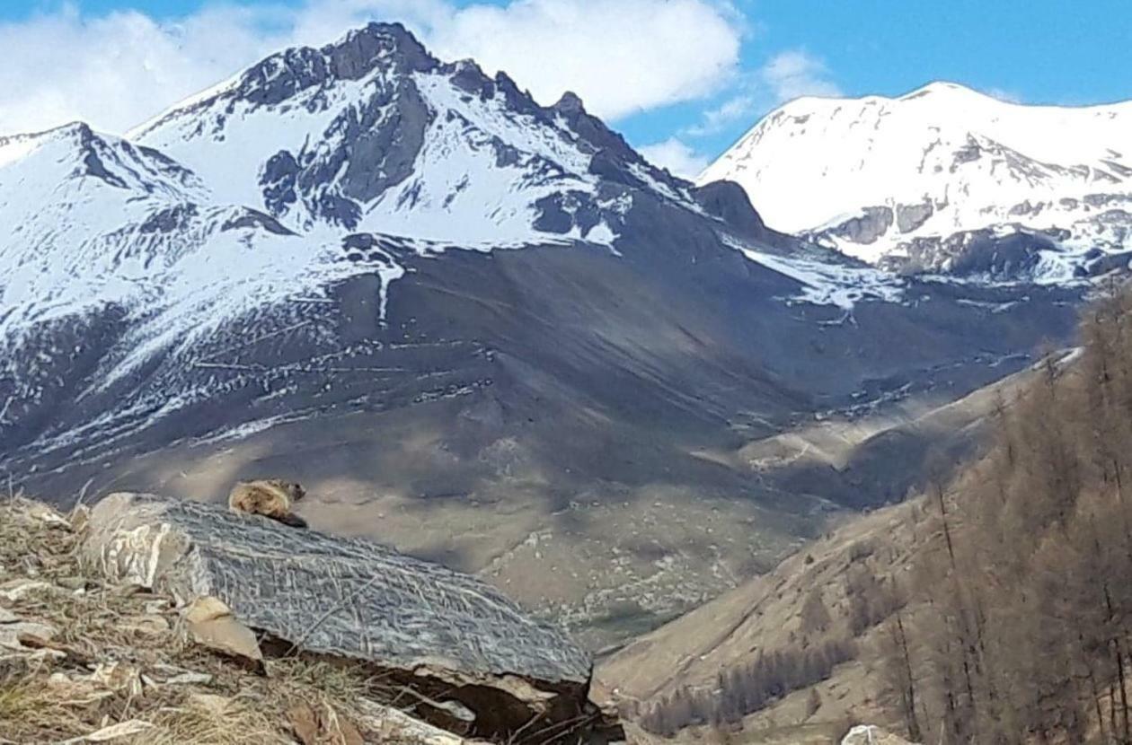 Ubaye Liberty Διαμέρισμα Barcelonnette Εξωτερικό φωτογραφία