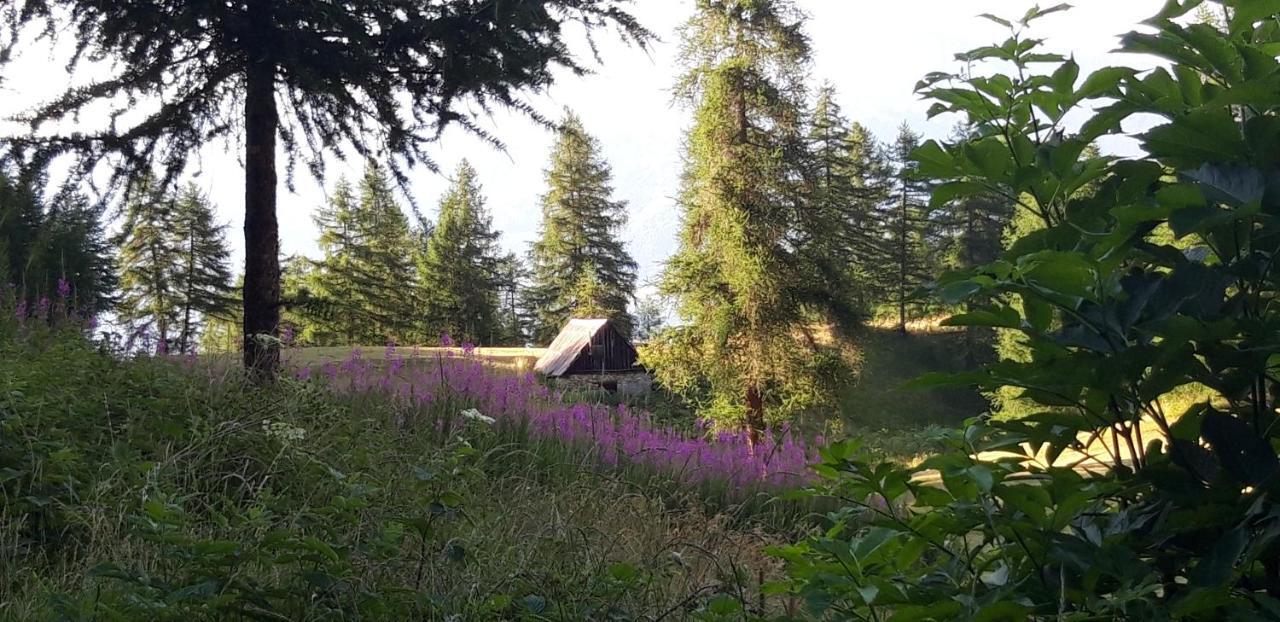 Ubaye Liberty Διαμέρισμα Barcelonnette Εξωτερικό φωτογραφία